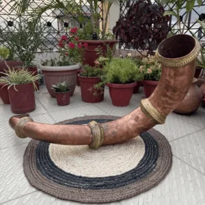 Ransingh (रणसिंघा) – Traditional Instrument of Uttarakhand