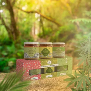 HEMP SEED SALT- COMBO BOX